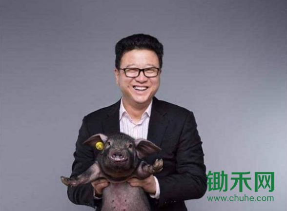 丁磊.jpg