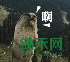 微信截图_20180101103900.jpg