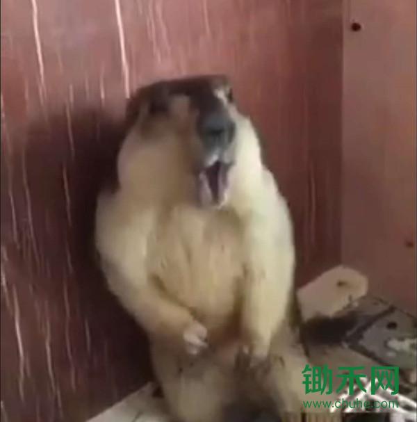 微信图片_20180101111759.jpg