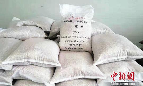 贵州兴仁：薏仁米成为当地产业联动新龙头