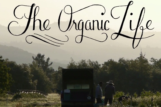 the-organic-life-560