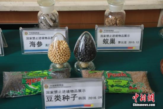 资料图：4月11日，辽宁省沈阳市，辽宁口岸截获禁止入境的动植物产品。<a target='_blank' href='http://www.chinanews.com/' _fcksavedurl='http://www.chinanews.com/'>中新社</a>记者 沈殿成 摄