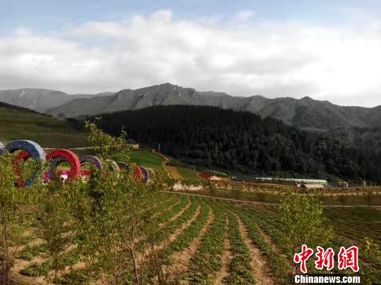 图为边麻沟村的花海农庄景区一角。(资料图) 孙睿 摄