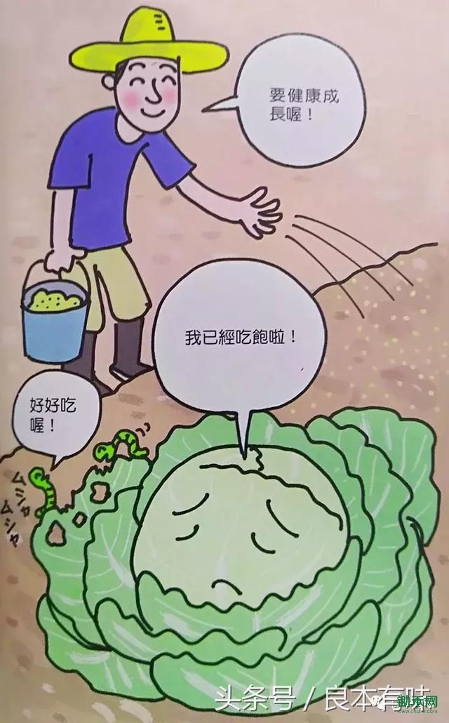 6c310004e62ec2754436.jpg