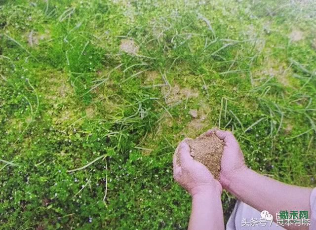 6c300005db6b3750ca09.jpg