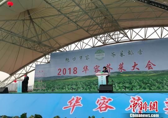 2018华容芥菜大会现场。　傅煜 摄