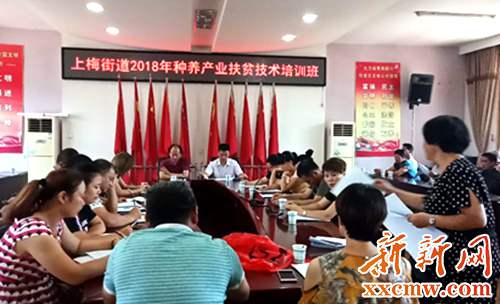 下载 (1).jpg
