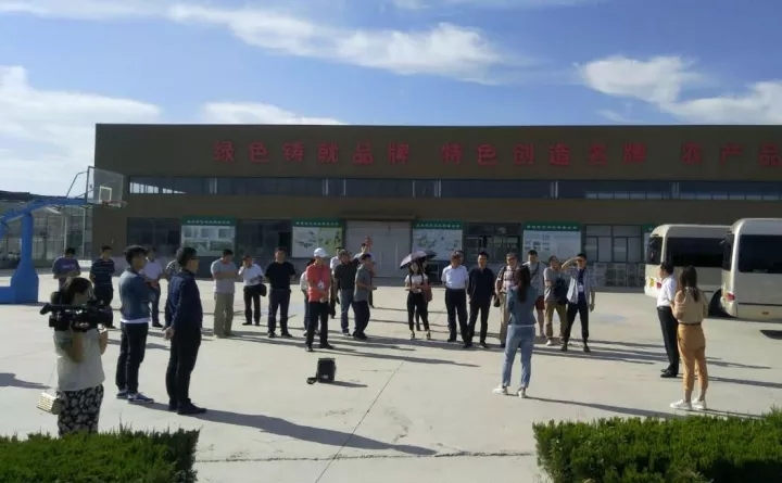 业内精英畅谈食用菌发展之