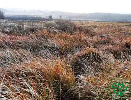 耕地抛荒问题如何突围？