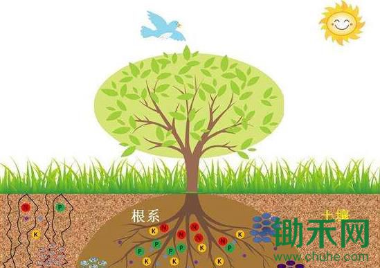 论土壤肥力，中国落后日本50年