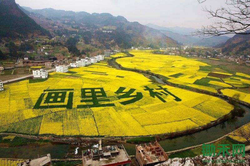 ​乡村振兴，要突出十个重点