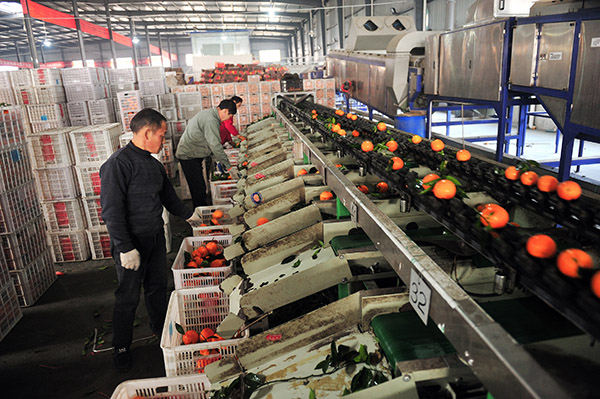 延伸农产品产业链 乡村振