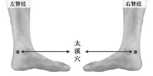 它是肾经的原穴，滋阴益肾、