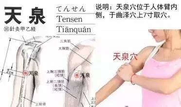 天泉穴：改善供血不足、胸闷