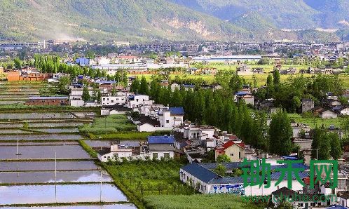 把村子建设好，才能为乡村振兴做贡献