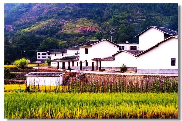 韩长赋：政策上不允许城里人