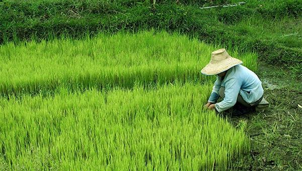 韩长赋谈土地承包再延长30