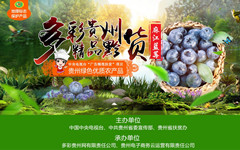 两会代表委员为何频频建言