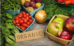 有机食品“真假”谁说了算