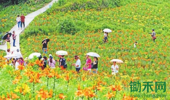 农旅融合如何不走偏？