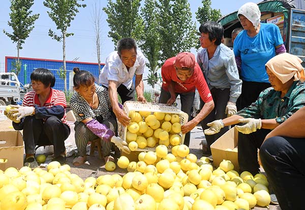 河北新河：特色农业助力精准扶贫