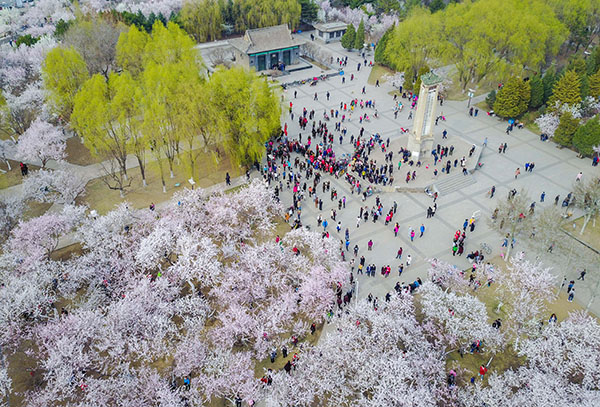 青城四月桃花开