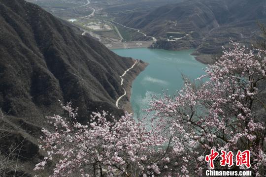 甘肃崆峒四月天 人面桃花相映红