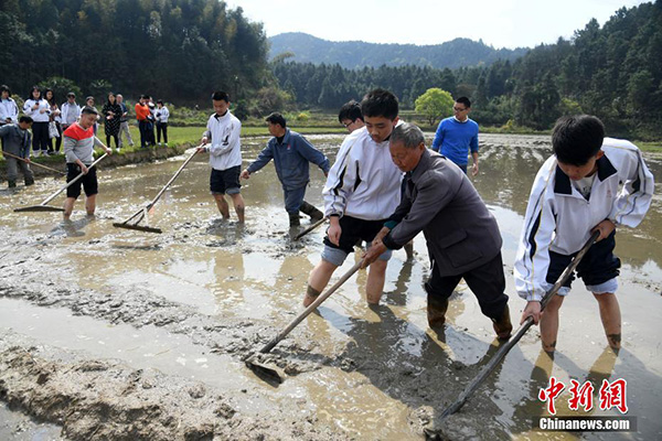 江西新余学生下田春耕 感受稼穑之艰