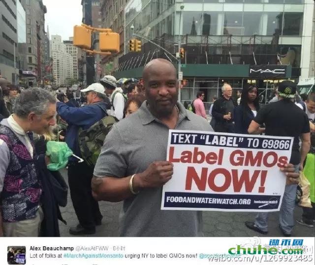 1464831716118251.jpg 1.webp.jpg