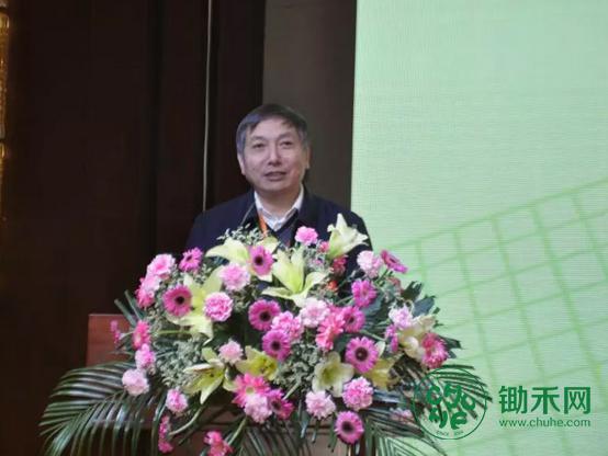 图片10.jpg