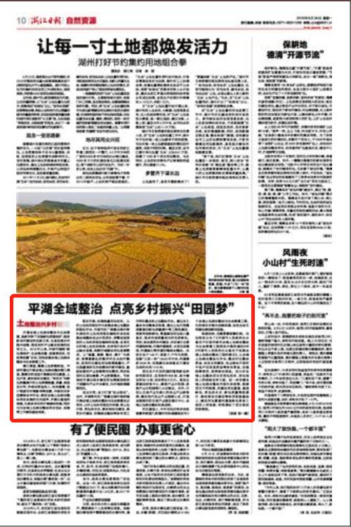 浙报关注！平湖全域整治点亮乡村振兴“田园梦”
