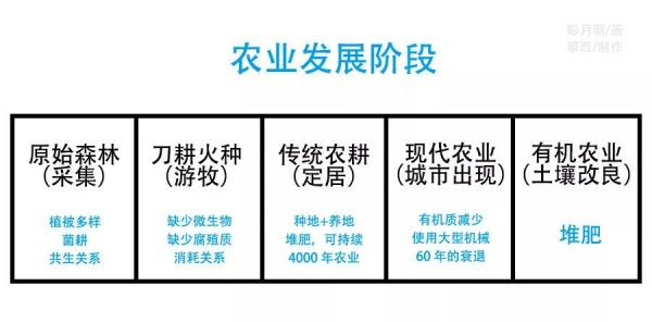 彭月丽/原稿