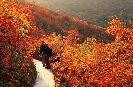 【媒体记者说】这里的绿水青山就是乡村振兴的金山银山