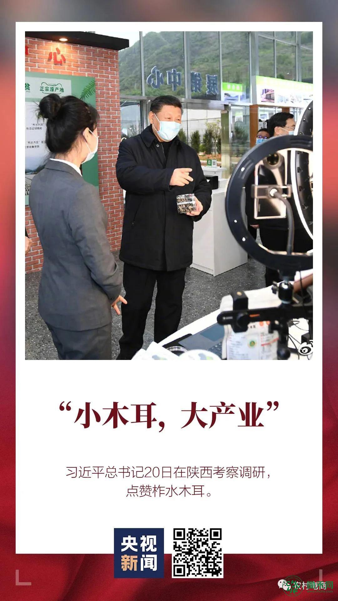 微信图片_20200421171408.jpg