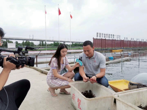 江苏南京高淳：经营主体田间直播学营销