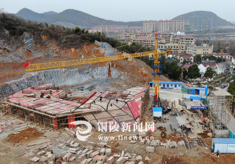 加快推进特色小镇建设.jpg
