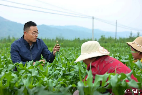 企业提供