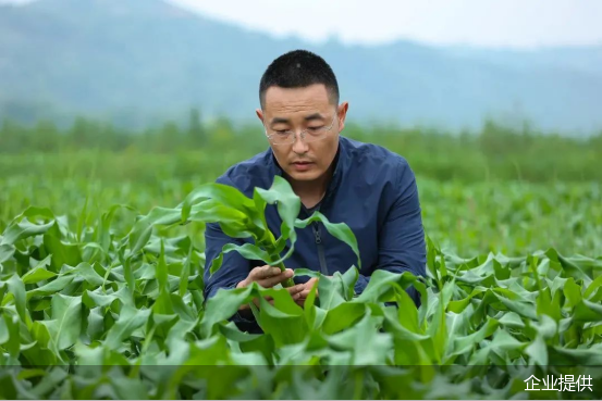 企业提供