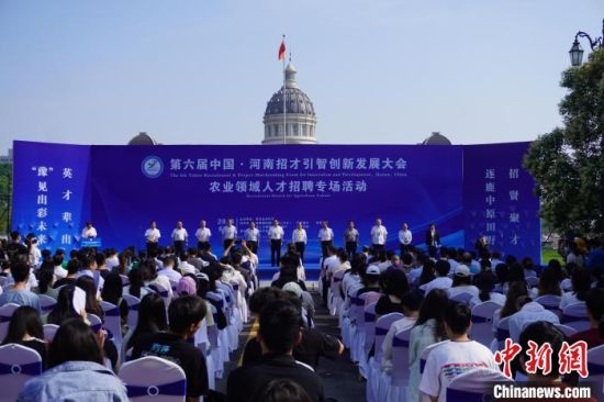 河南省农业领域人才招聘专场活动举行。　韩章云 摄