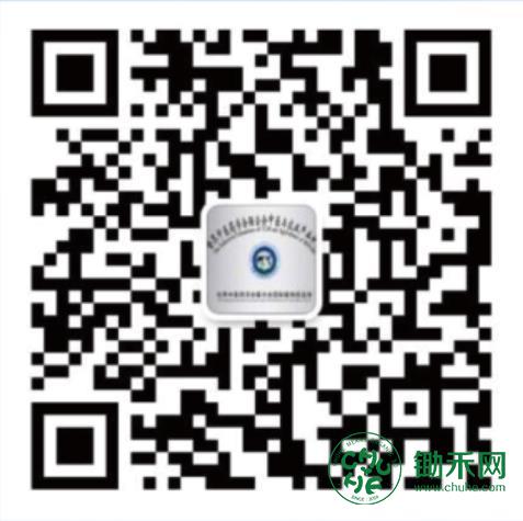 1731288668134315.jpg