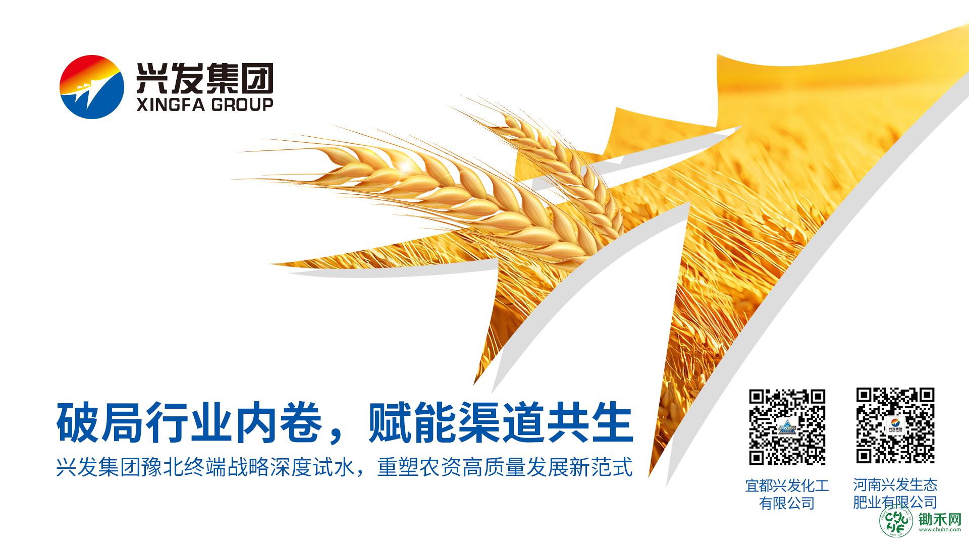 1783040246137671.jpg 兴发微信配图.jpg