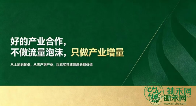 1787274439818894.png 下载 (8).png