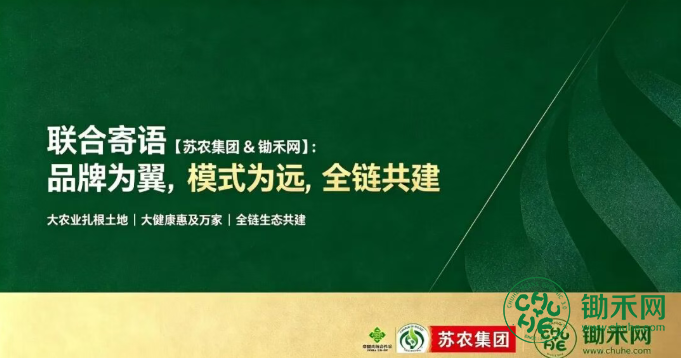 1787274503616215.png 下载 (11).png