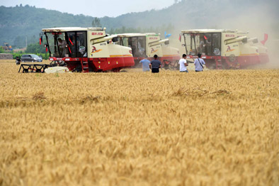 山东农民：“掌中种粮”，不再“夏忙”