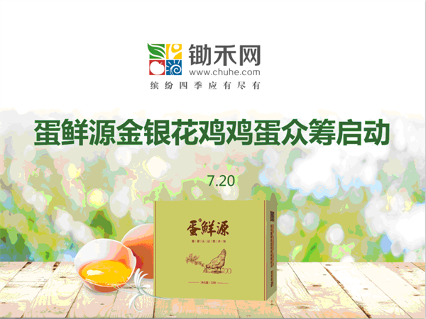 锄禾网▪蛋鲜源金银花鸡鸡蛋首批众筹项目正式启动！