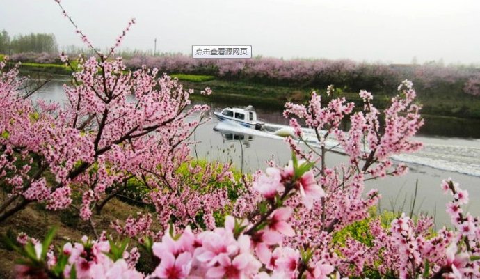 鄢陵，花木旅游融起来