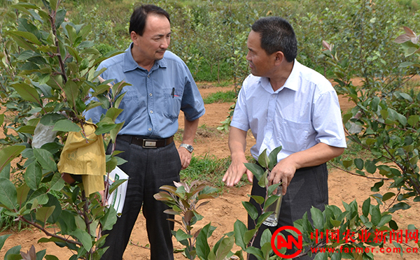 旗帜飘扬沂蒙山——记山东省委选派农村第一书记派驻