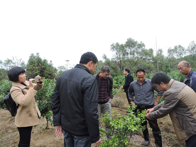 农业发展进入新阶段 专家:培育新型农民是关键