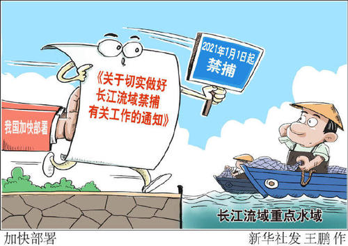 《农民日报》关注武汉退捕渔民：走进课堂学技术，种养结合巧致富