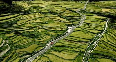 减贫奇迹举世瞩目